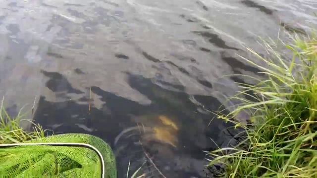 16.09.2022 г. На том же месте. Опять рыбалка..mp4 смотреть онлайн