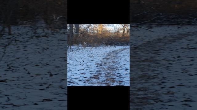 САМСУНГ S10e ВИДЕОСЬЕМКА