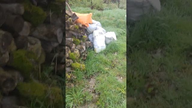 рабочее видео по плану выкопки Нарциссов. смотреть онлайн