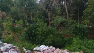 Отдых на Фукуоке, часть 11: обзор дешевых кафе и локалок