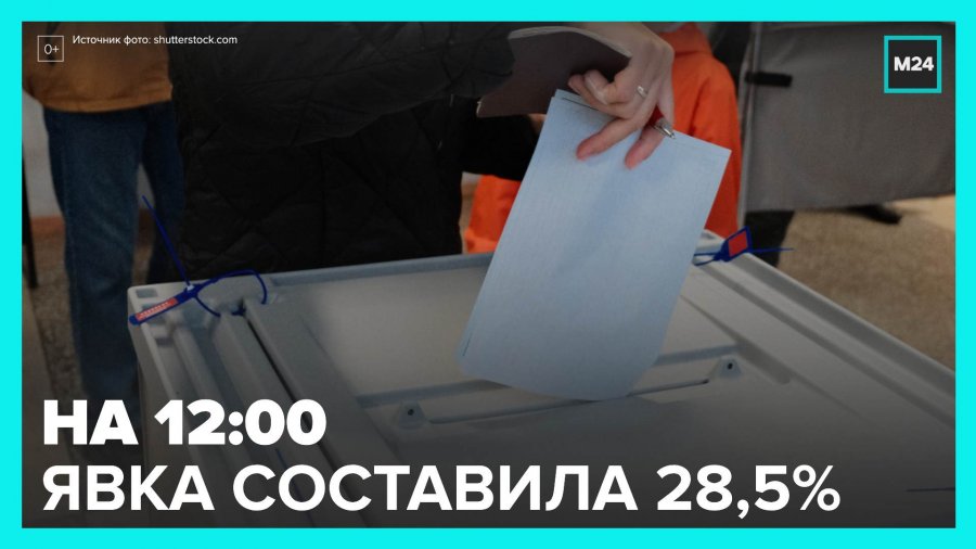 03 2024 явка. 17. выборы в сентябре 2022. 03 2024 явка. выборы 2024.