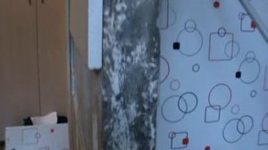 Панели ПВХ и выравнивание стены под них