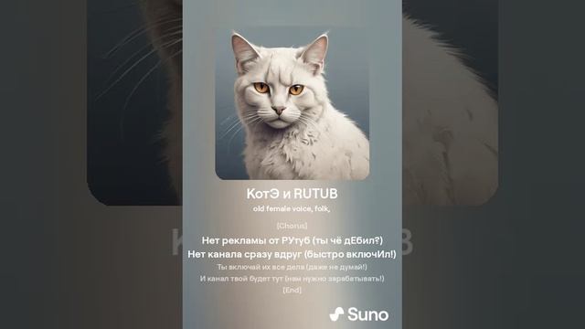 КотЭ и RUTUB