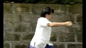 Шаолинь Лян бу цюань