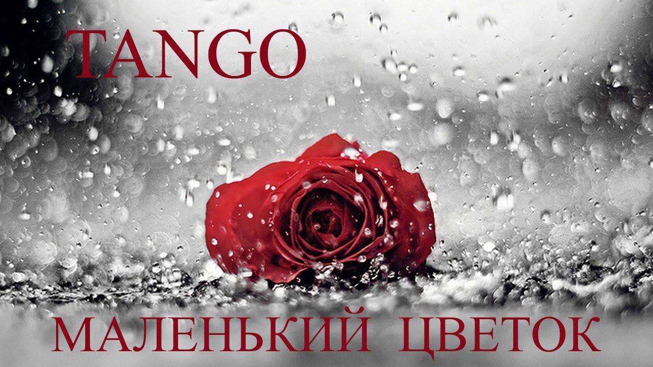 Танго Маленький цветок Фаусто Папетти. Tango Little Flower by Fausto Papetti. Tango Petite fleur