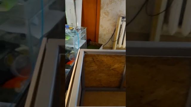 сборка подставки. смотреть онлайн