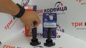 Катушка зажигания Bremi сравнение с Mobis
