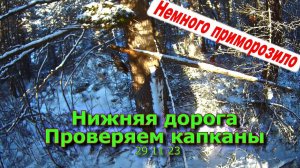 Нижняя дорога Проверяем капканы 29 11 23