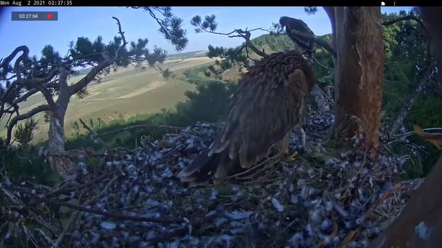 02.08.2021 5:00 - 6:00 Утренние тренировки смотреть онлайн