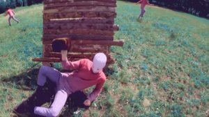 THE SHAPKA - TORSION FIELDS