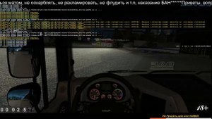 Как убрать руль в ETS2+мультиплеер
