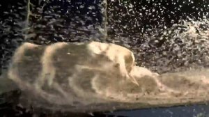 Cirque Slava SnowShow Слава Полунин