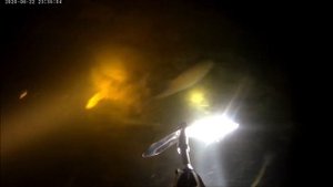 Озеро Акакуль, Челябинская обл., 22.06.20 Подводная охота