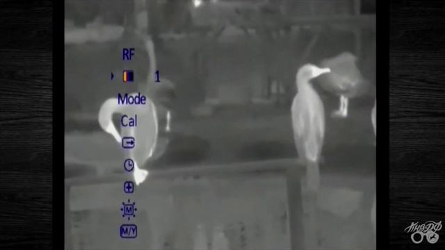 Pulsar Quantum xds смотреть онлайн