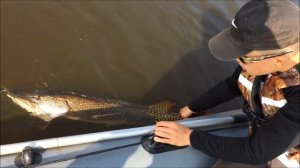 В поисках щуки на р. Вычегда