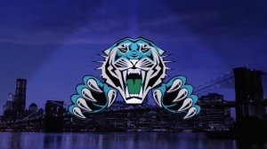 Самый жёсткий бас в мире