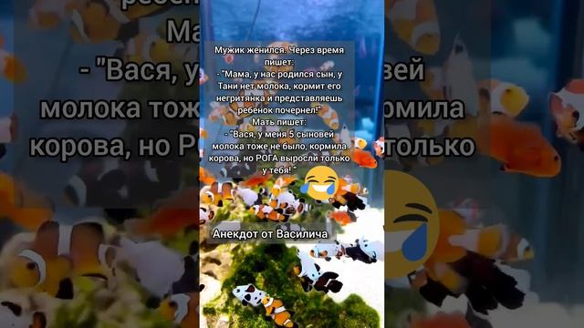 Анекдот от Василича Подпишись, дальше будет очень смешно #анекдот #анекдотдня #анекдотизжизни