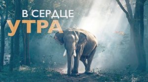 Утренняя медитация создание идеального дня | 10 минут