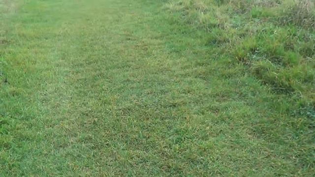 Foxy and Karl Gilbert walking Barley the Dog in Hove 05/09/2016 pt7 смотреть онлайн