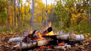 Autumn Ambience - Relaxing Campfire & Nature Sounds | 4K Ultra HD