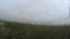 Утиная осеняя охота в Курганской области. Открытие охоты.