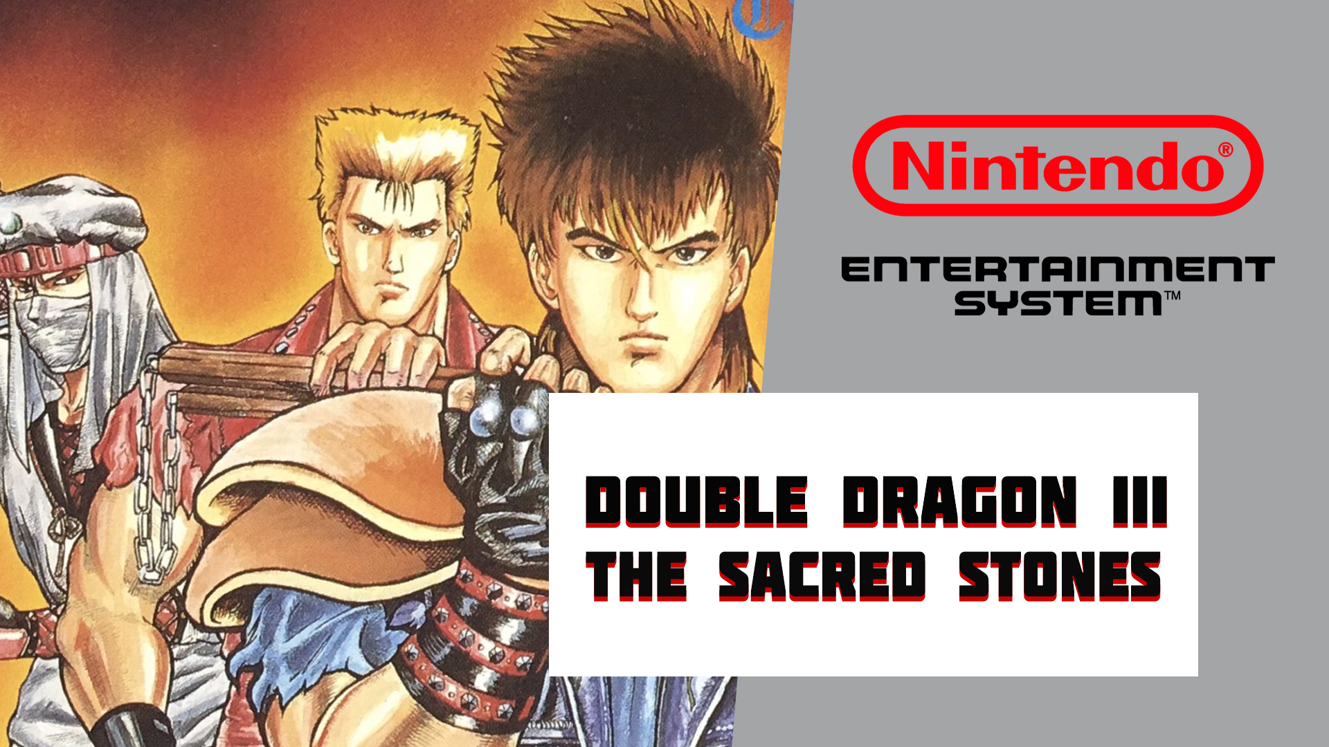 Double Dragon III The Sacred Stones (NES)