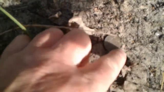 10 рублей Банк России 2011 год смотреть онлайн