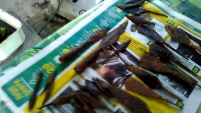 Как защитить находки от ржавения (наконечники стрел)