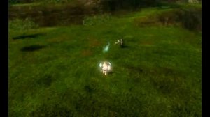 ArcheAge 4.0:Фанатик (Билд)