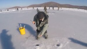 Ловля НАВАГИ на железо. Попали на клев.