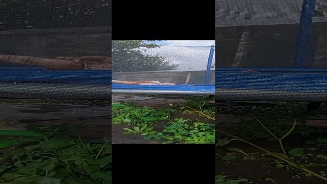 Арина и батуте