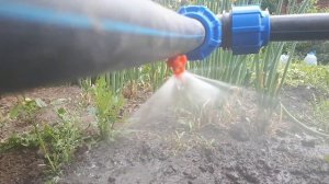 Форсунки для полива. Автополив.