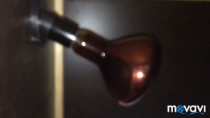 Готов ещё один брудер для перепелят!