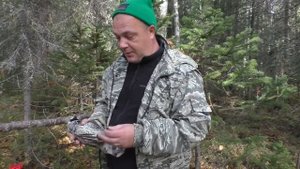 Выживание в лесу / Как добыть дичь без ружья / Охота на рябчика на петли