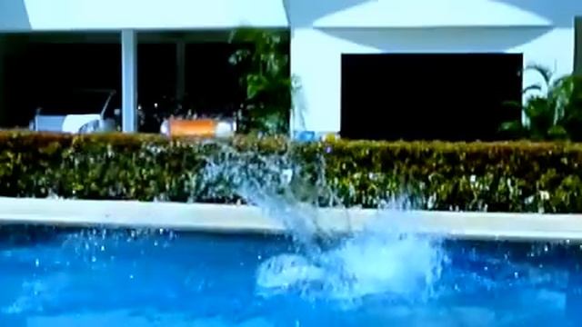 Прыжок в бассейн. смотреть онлайн