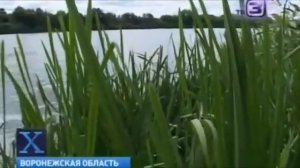 Большая ЧУПАКАБРА переплыла Дон