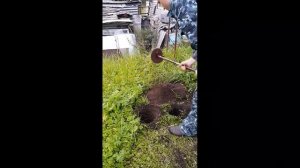 Бензобур из бензокосилки  с редуктором из гайковерта (мясорубки).