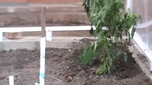 теплица своими руками 4 на 8