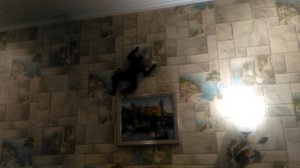 Игрушка Человек паук / Spider Man (Продам)