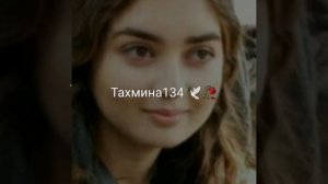 цыганская песня петя куряк ??