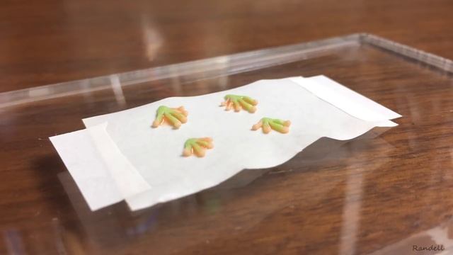 【樹脂粘土・レジン】スイカカエル【Clay, Resin】Watermelon Frogs | DIY смотреть онлайн