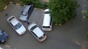 Курица во дворе паркуется