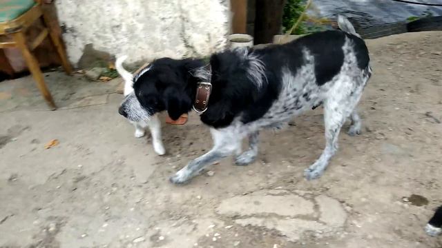 Королевская семья смотреть онлайн