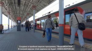 Гриша Заречный Обезьянник