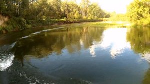 Tarpon 9.9 OTH. Второй день. Обкатка мотора. Тарпон