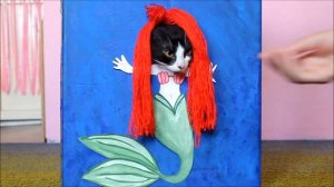 Коты Русалки ? Mermaid is real Mermaid CATS