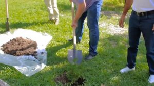 Санаторий «Магадан» Сочи Лоо