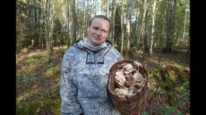 Грибная разведка 22 сентября 2023. Всеволожский район.