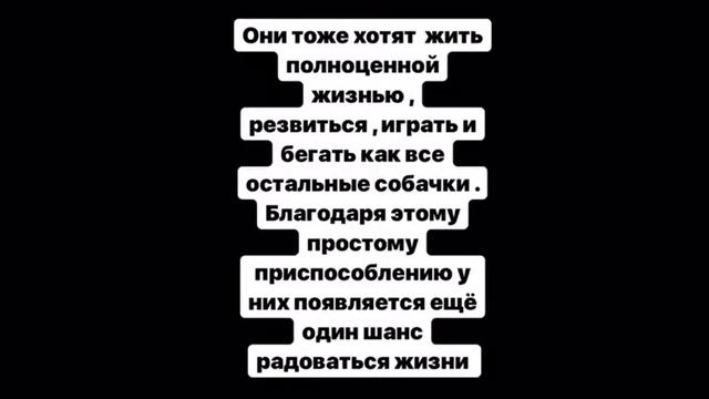 Инвалидная коляска для собак Ротор 43. Счастливая Люся / dog's wheelchair Rotor 43 for happy Lucy смотреть онлайн