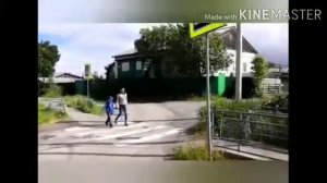 Сказка про основные дорожные знаки для дошколят